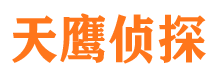 额尔古纳侦探